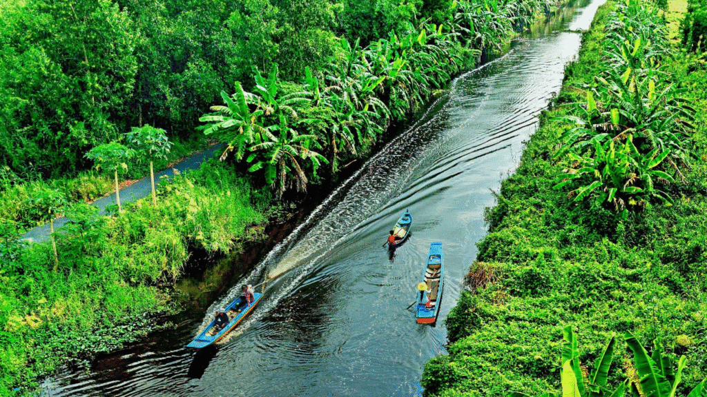 Mekong Delta