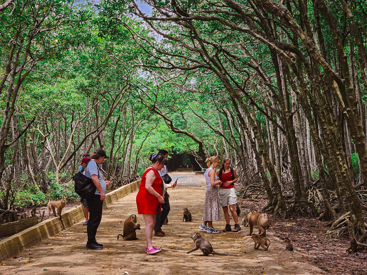 Private Eco Can Gio Adventure, and Monkey Island Tour