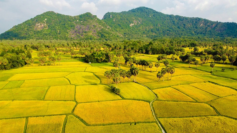 Why the Mekong Delta Should Be on Every Traveler’s Vietnam Itinerary?