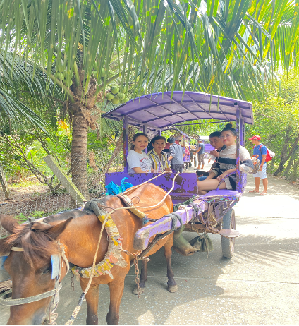 Horse-Drawn Cart Ride