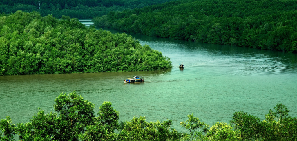 Can Gio Biosphere Reserve