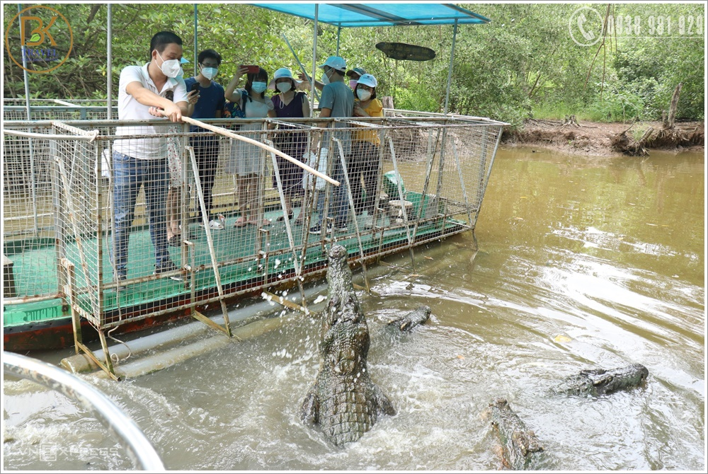 The Crocodile Reserve