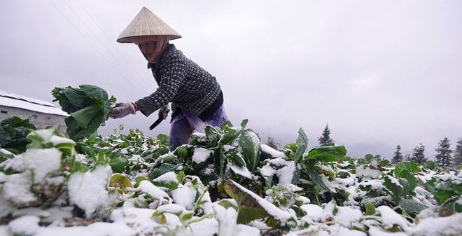 The weather in Northern Vietnam, winter