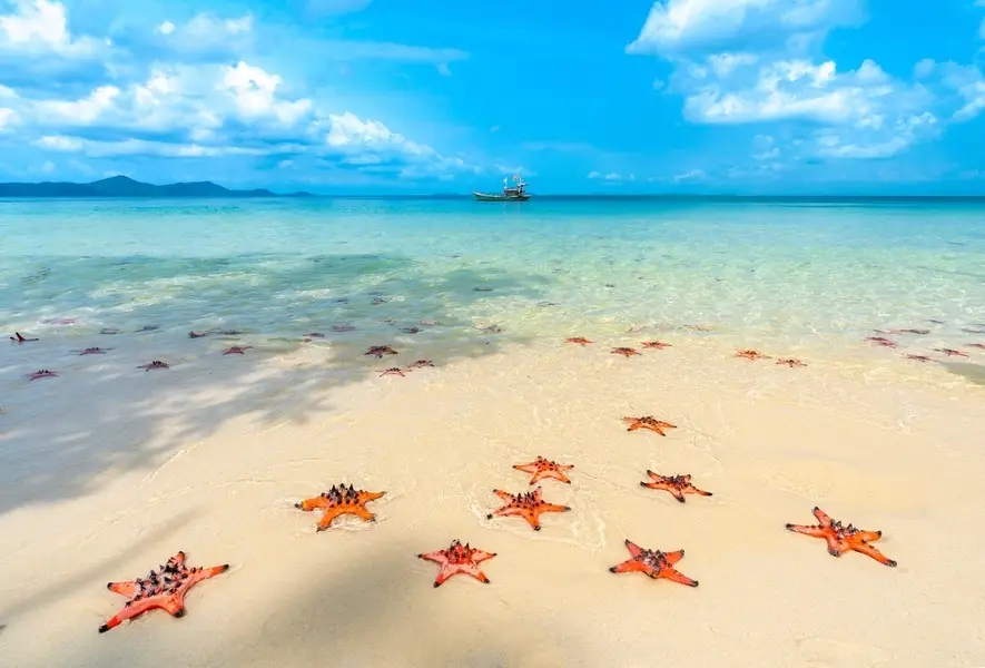 Rach Vem Beach is known for its shallow waters and the occasional sight of starfish resting on the seabed.