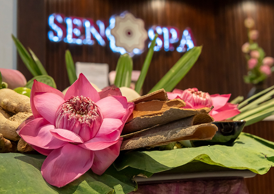 Finding peace in the beauty of the lotus. Sen Spa is a true hidden gem for those seeking authentic Vietnamese wellness.