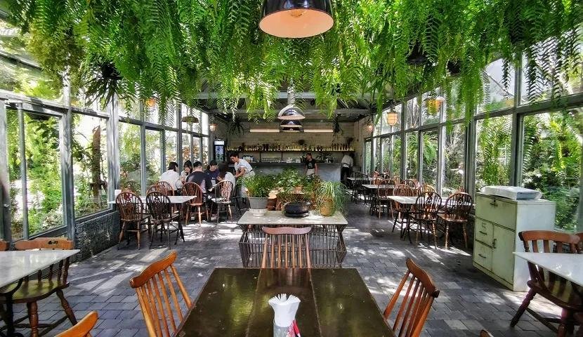 Escape the bustling streets of Saigon and discover hidden garden cafes where tropical greenery and Vietnamese coffee create the perfect urban retreat.