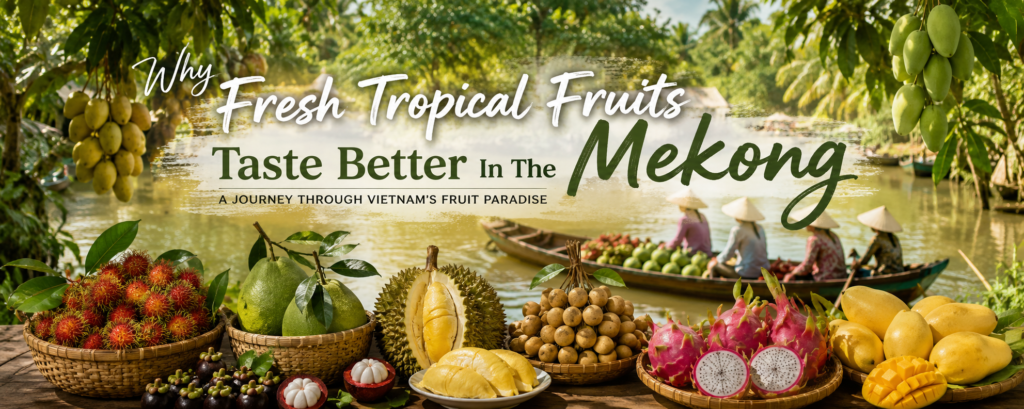 Vietnam is famous for its vibrant street food, aromatic coffee, and rich culinary traditions, but there is another treasure that often surprises international travelers: the incredible variety of fresh tropical fruits found in the Mekong Delta.