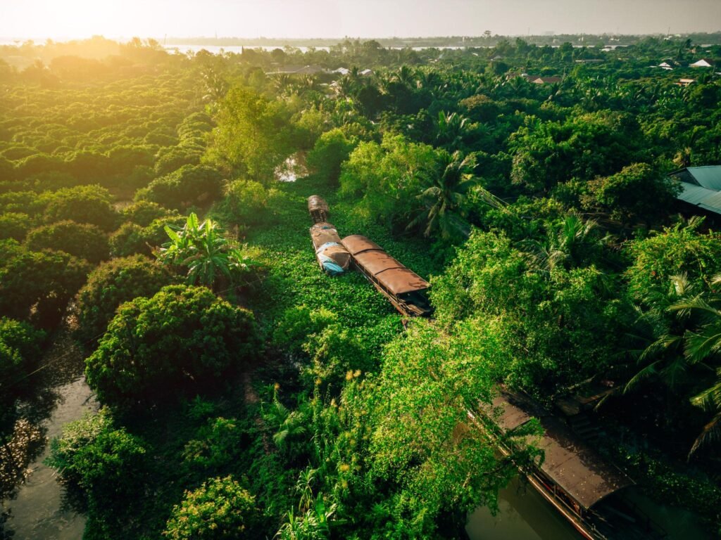 The Mekong River continuously delivers nutrient-rich sediment, creating one of the most fertile agricultural regions in Southeast Asia.