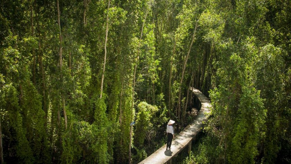 Endless rice paddies, lotus ponds, and peaceful canals make Long An one of the most relaxing motorbike day trips from Ho Chi Minh City.