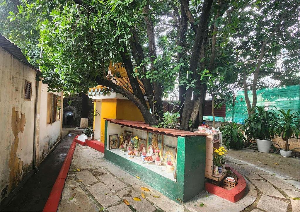Ancient trees and roadside shrines reflect the deep connection between nature and spirituality in Vietnamese culture.