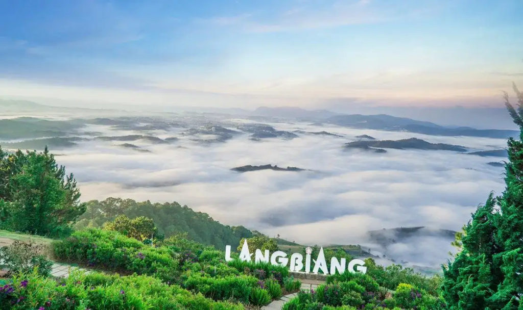 Chasing the clouds where the pine trees whisper. Escaping the Saigon heat to breathe in the crisp, cool air of Lang Biang. Sometimes you just need to climb a little higher to clear your mind.