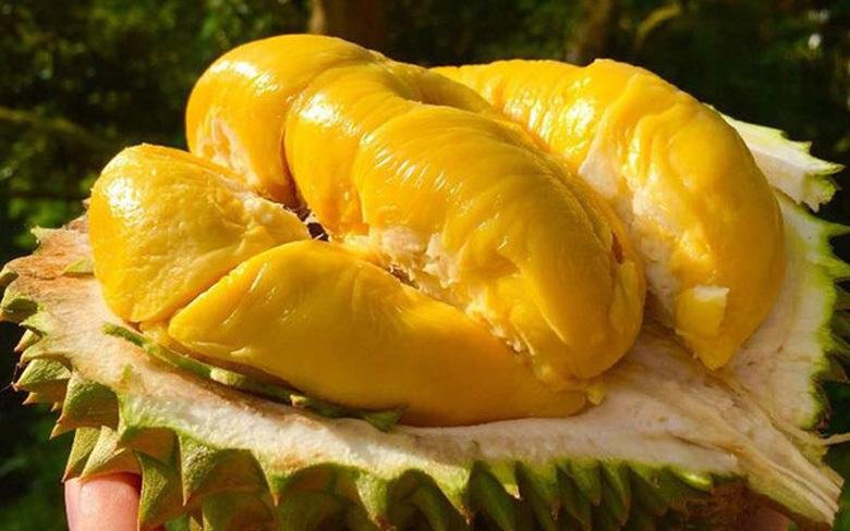 Durian is famous for its bold aroma and rich, custard-like texture. While its distinctive scent may surprise first-time visitors, many travelers quickly discover why it is considered one of Southeast Asia's most prized fruits.