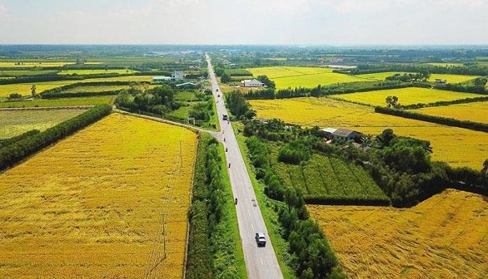 Beyond the famous tunnels, Cu Chi reveals quiet village roads, lush rubber plantations, and authentic rural scenery that few visitors take time to explore.